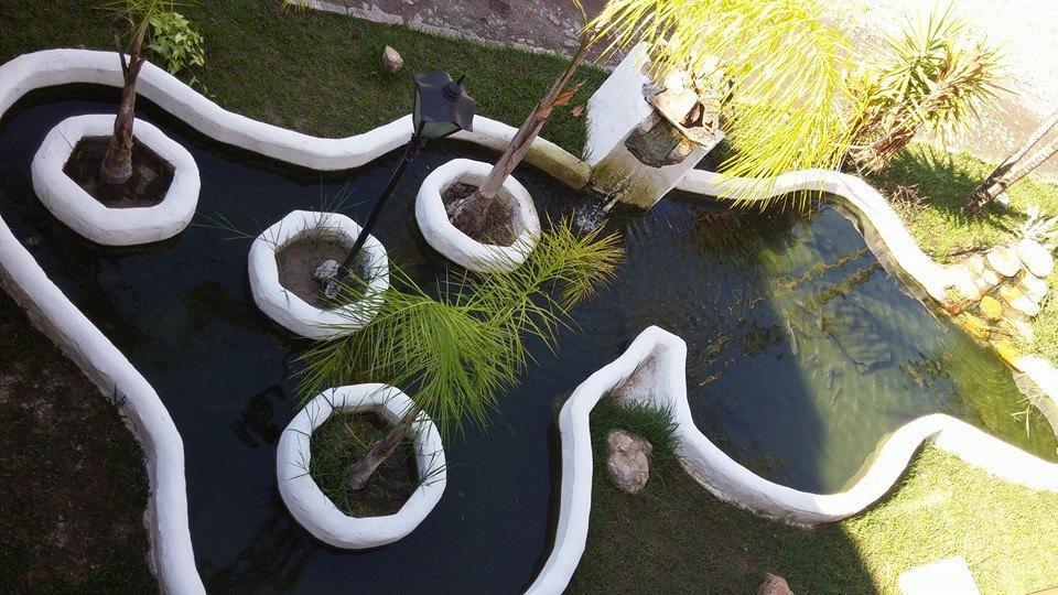 Caiman Divinopolis